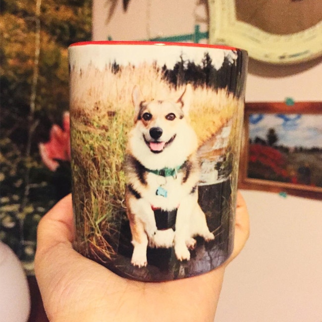 Pet Photo Gift