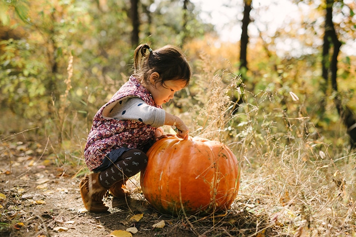 10 Tips for Taking Better Pumpkin Patch Photos