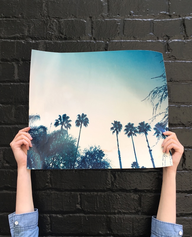 Turn Your Palm Pics Into Photo Gifts for Instant Tropical Getaway