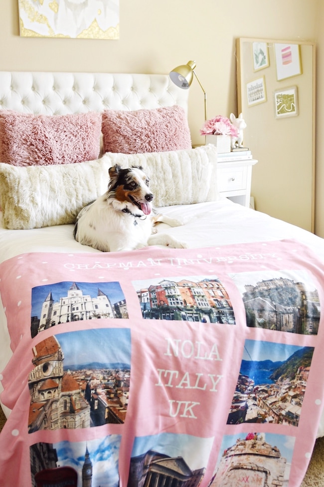 Dog on a bed with a customised Photo Blanket