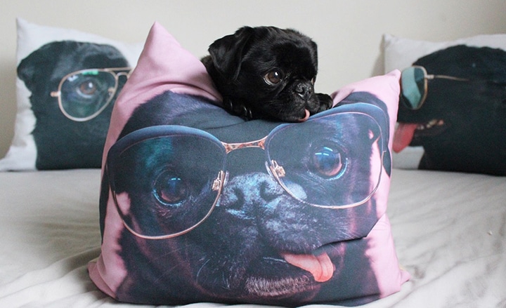 10 Personalised Pet Gifts for the Animal Lovers in Your Life