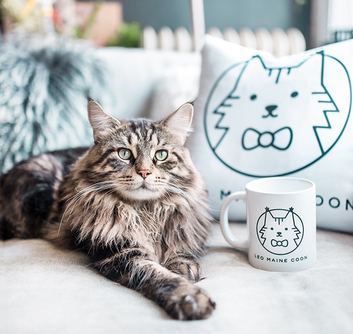 10 Personalised Pet Gifts for the Animal Lovers in Your Life