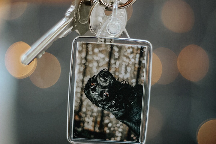 10 Personalised Pet Gifts for the Animal Lovers in Your Life