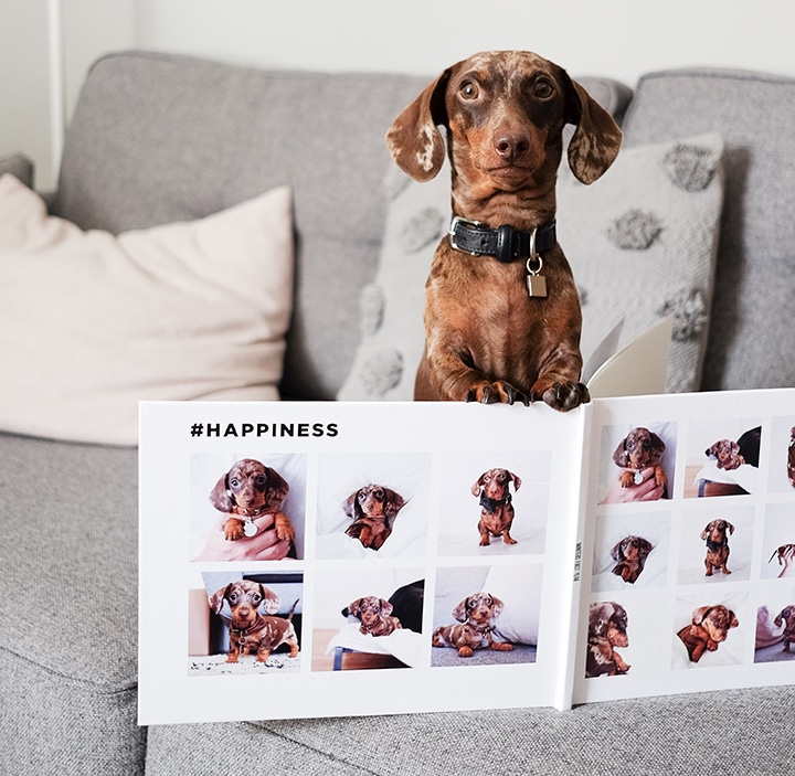 10 Personalised Pet Gifts for the Animal Lovers in Your Life