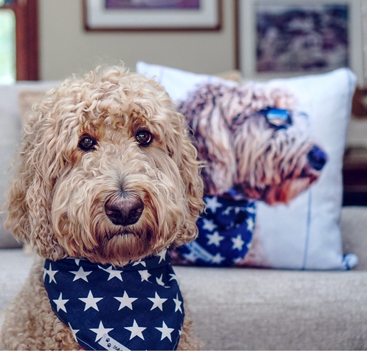 10 Personalised Pet Gifts for the Animal Lovers in Your Life
