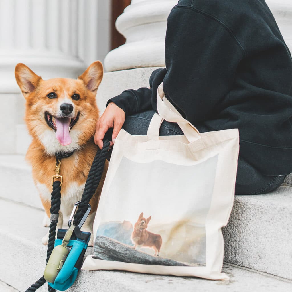 Let your pet parent flag fly!