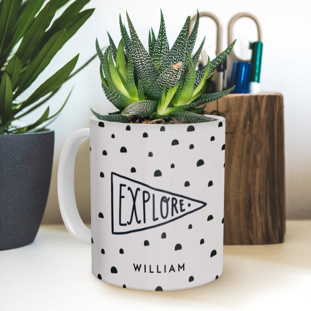 Plant in a mug