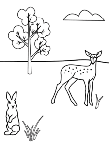 FREE Printables: Adorable animal colouring pages | Snapfish UK