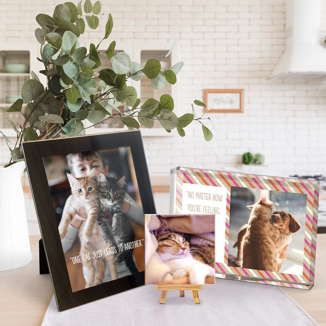 Create custom table top displays of your pet photos