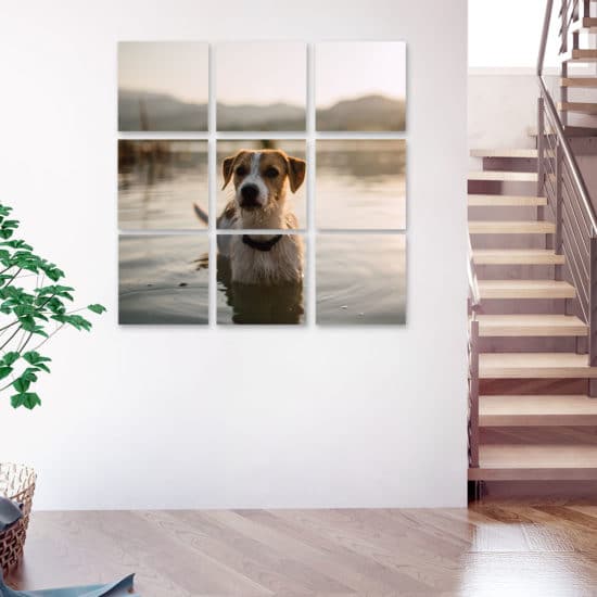 Split Canvas Prints – Create wow-worthy works of art! | Snapfish UK