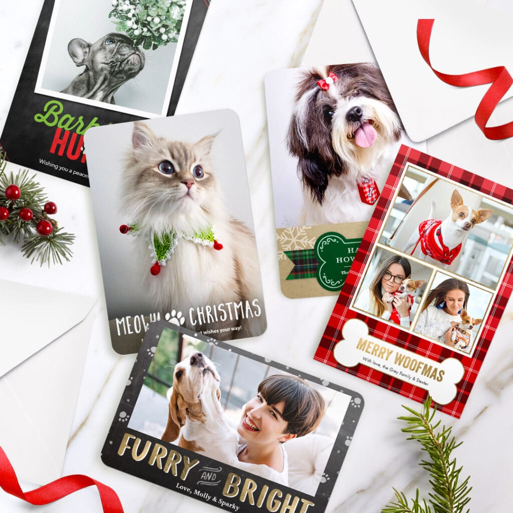 A selection of pets Christmas cards.