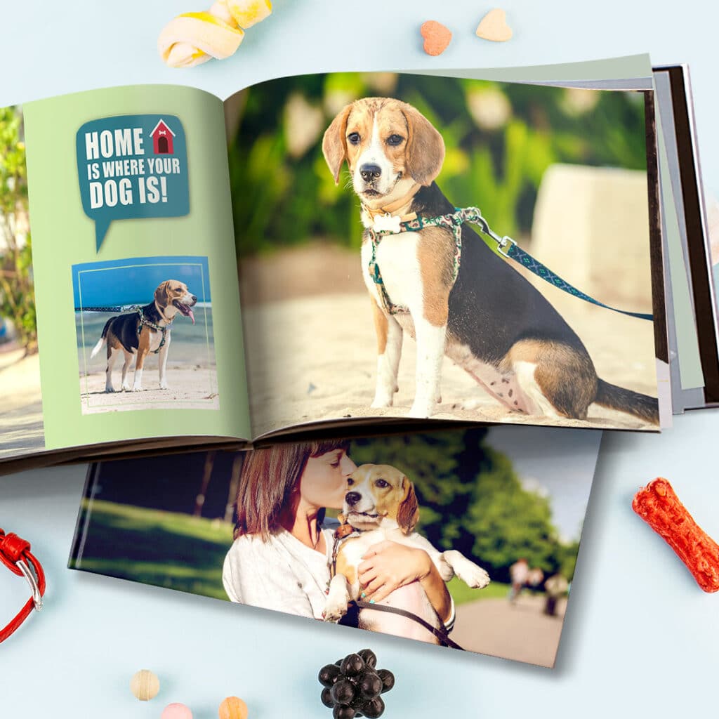 A personalised pet photo book.