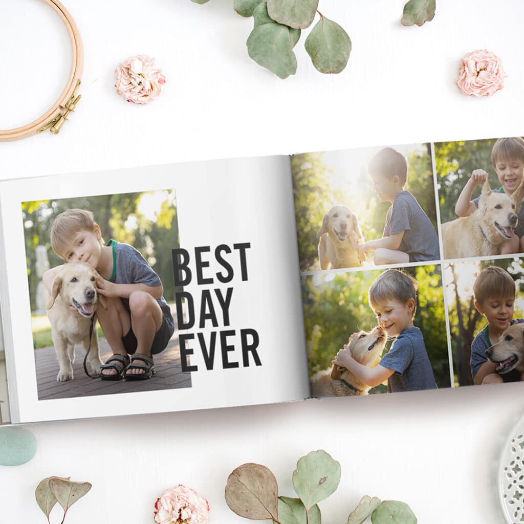 Design a photo book with pictures pictures of your pet
