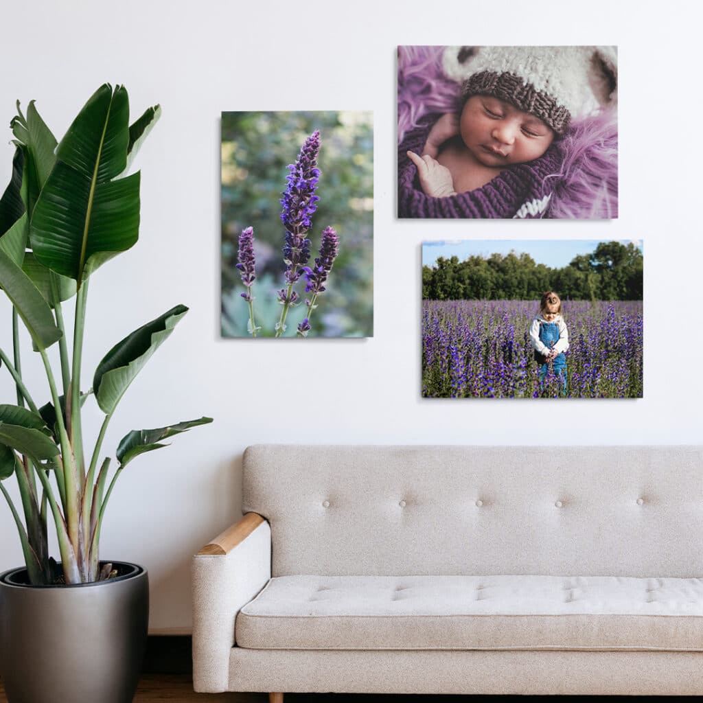 Print photos onto foam board prints with Snapfish