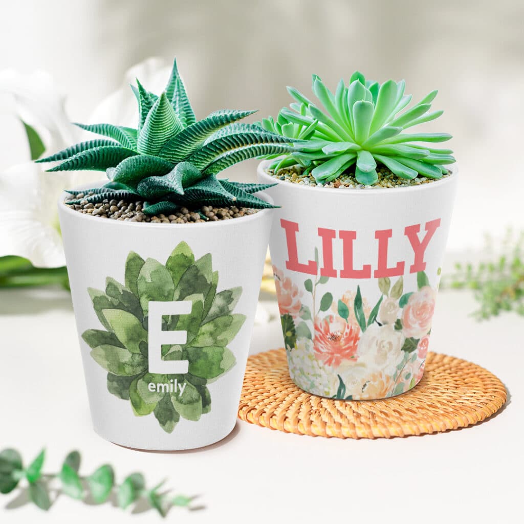 Create On-Trend Gifts With Snapfish like this Plant Pot