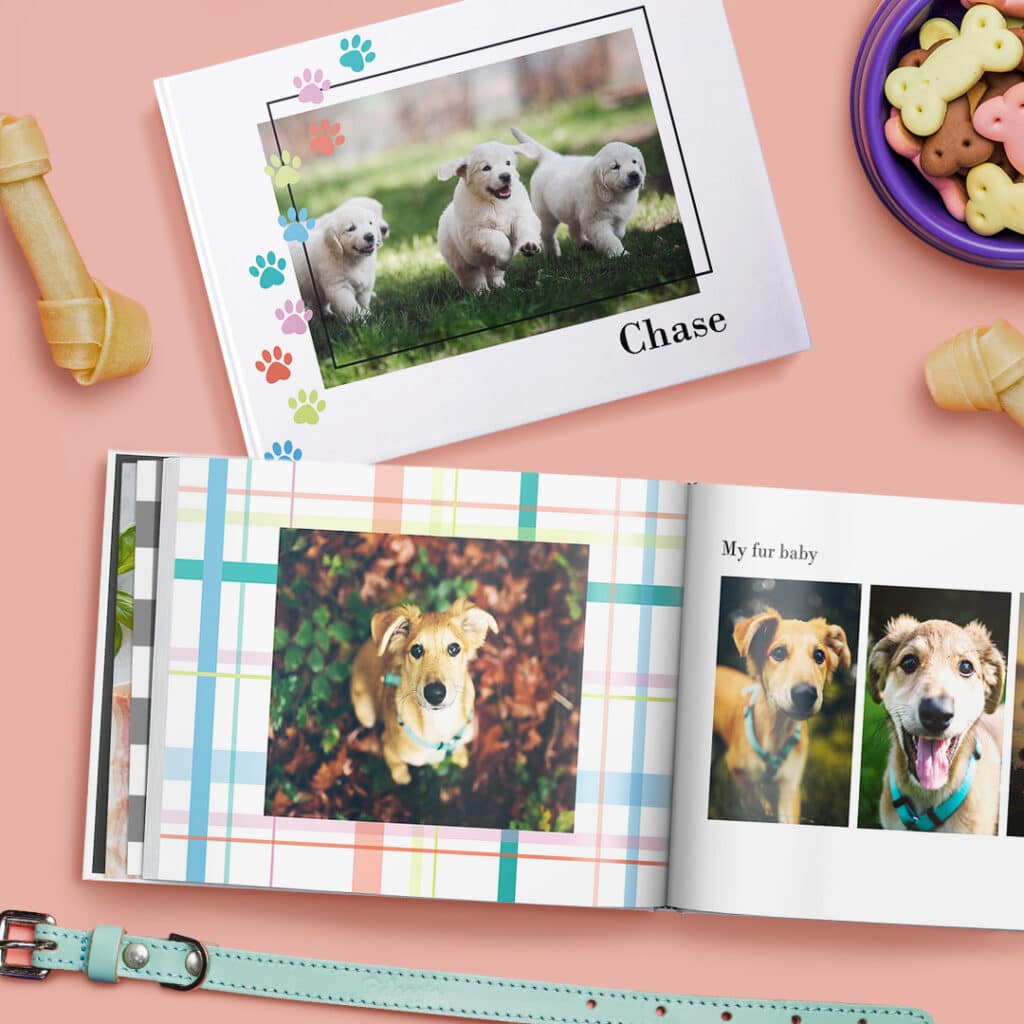 Celebrate Pets On National Pet Day With Custom Pet Gifts Made On Snapfish.co.uk