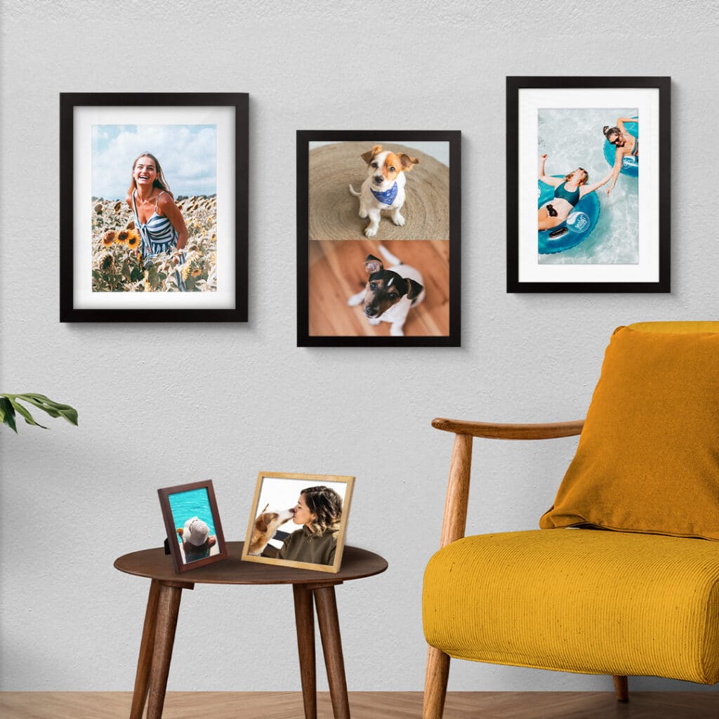 How to Frame a Photo Print on the Cheap - Improve Photography