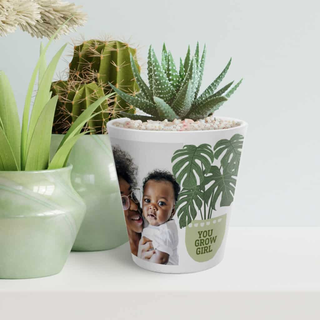 Create a Custom Plant Pot & Fill it With Succulents & Herbs That Are Easy to Care For