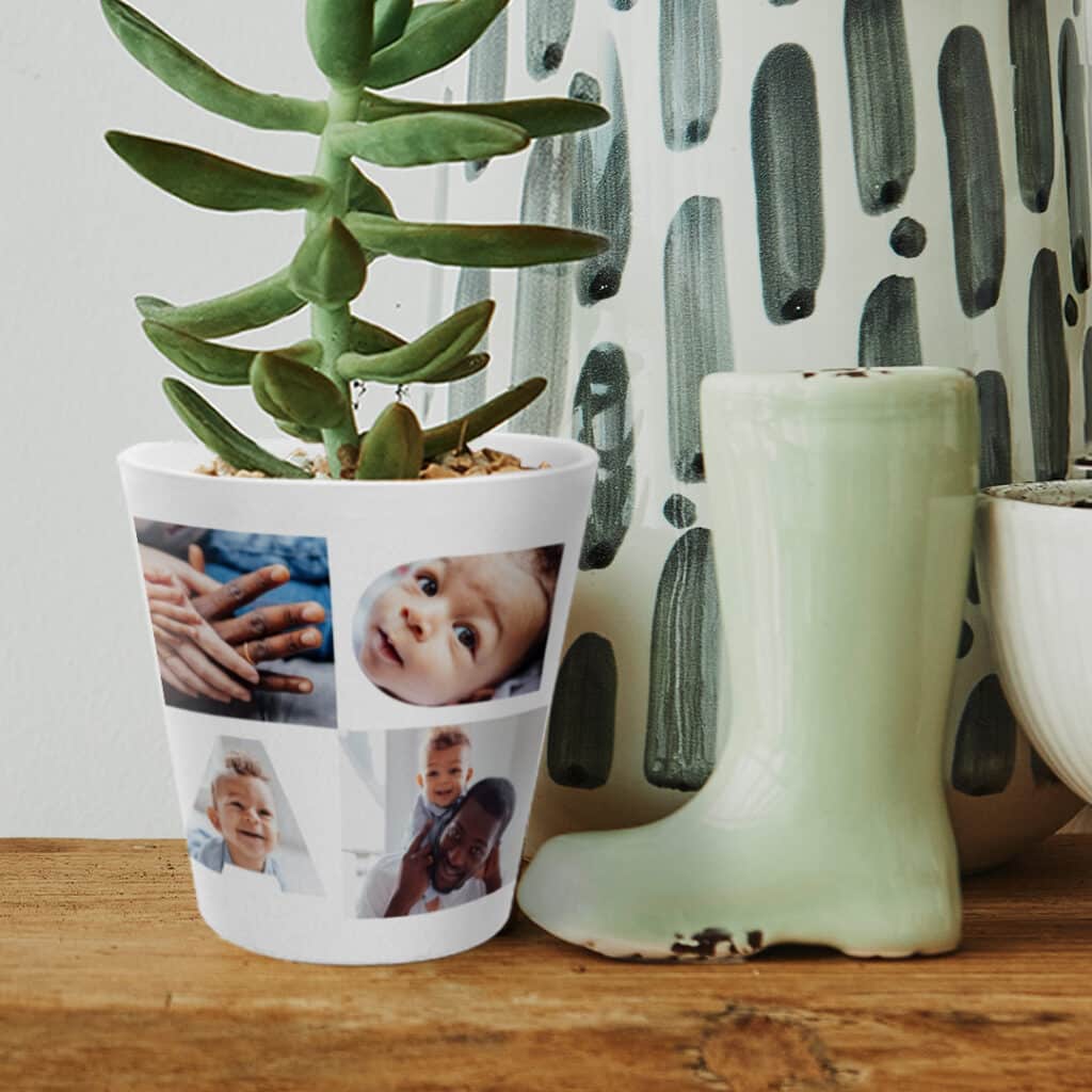 Create a Custom Plant Pot & Fill it With Succulents & Herbs That Are Easy to Care For