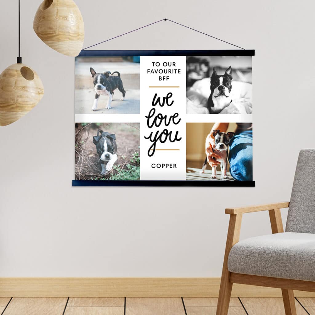 The New Hanging Poster is a Fun, Easy & Affordable Way to Display Your Favourite & Best Photos