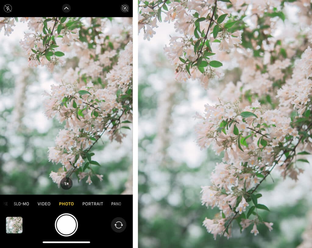 iPhoneography 101: How to Take Better Photos Instantly