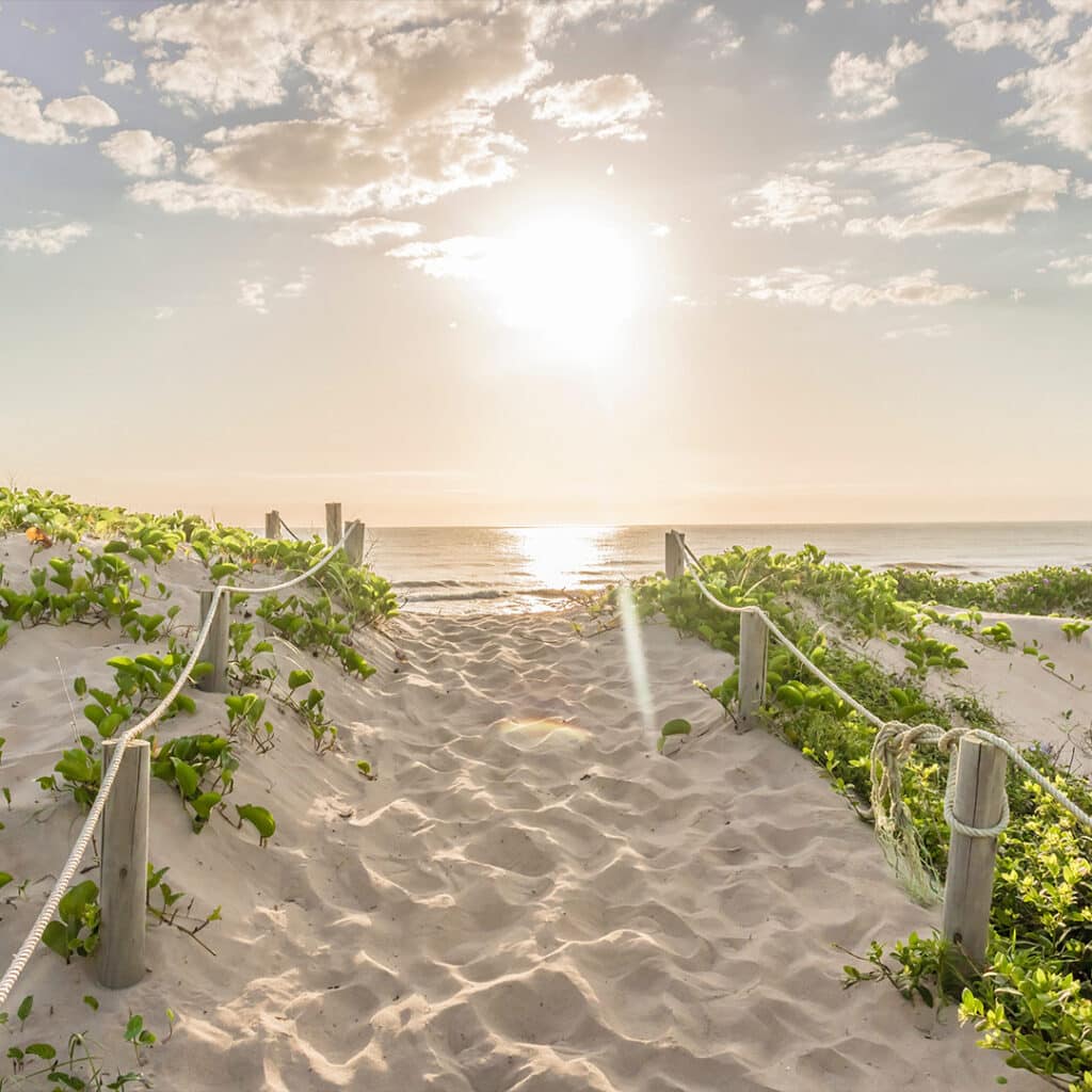 Image of a beach