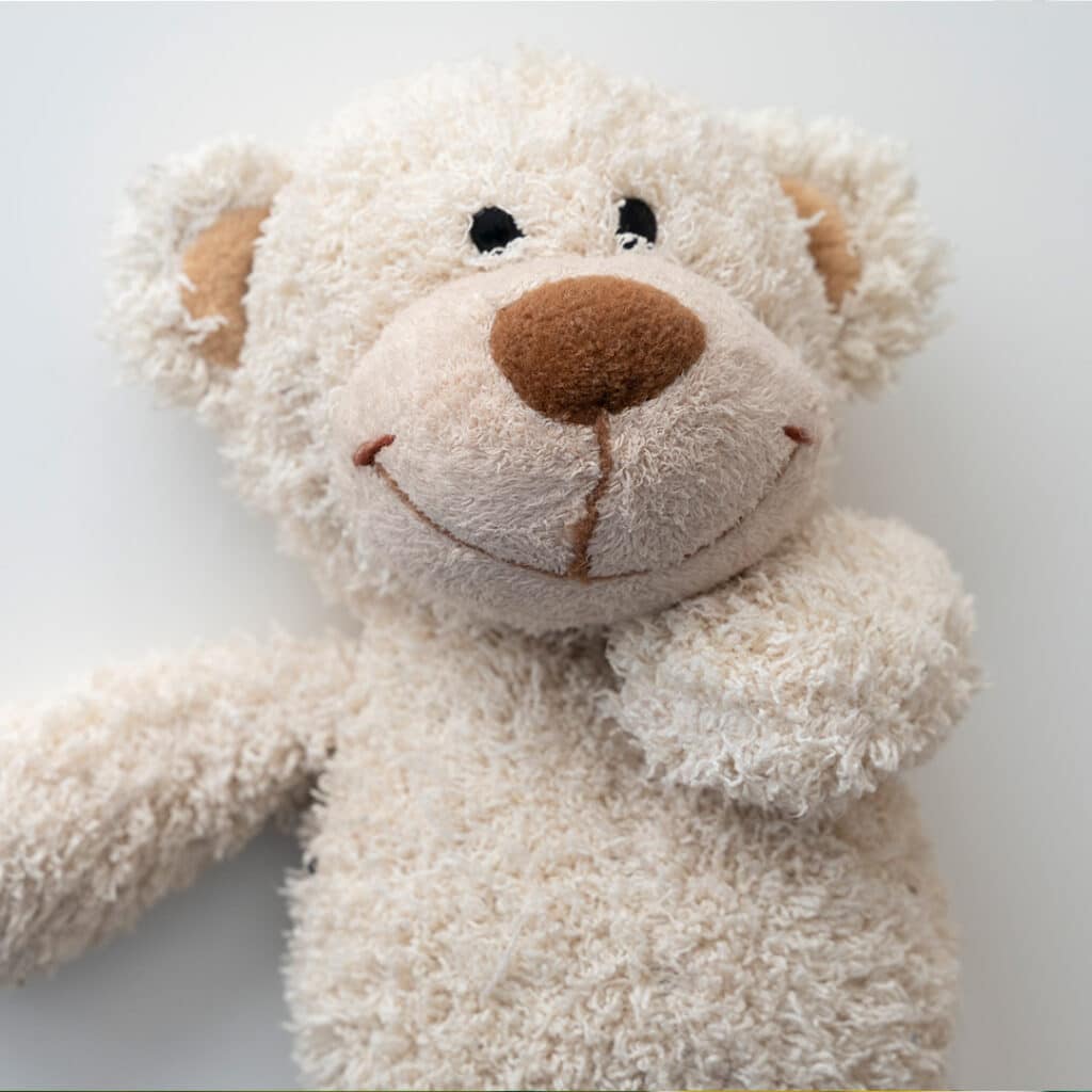 Photo of a cuddly teddy bear