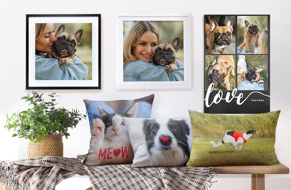 Framed prints and cushions displayed in a home