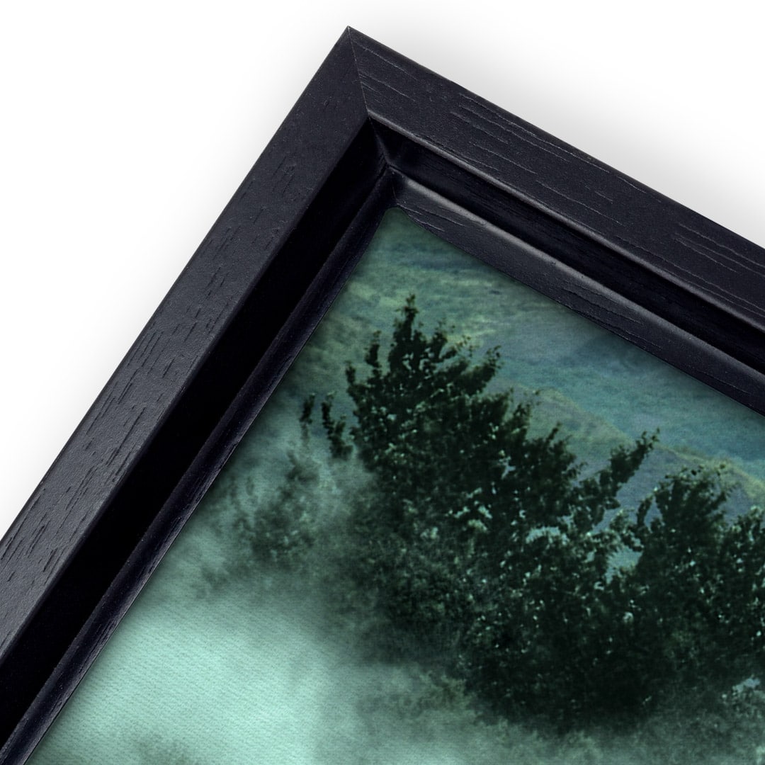 Update Your Home With Framed Canvas Prints Snapfish UK